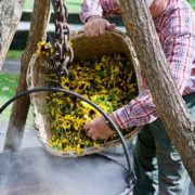 Interpreters from The Farmers’ Museum Discuss Traditional 1840s Fiber Dyeing