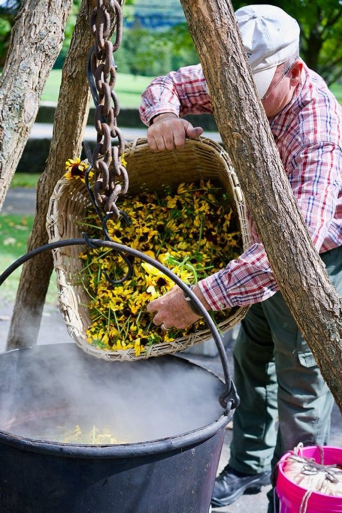 Interpreters from The Farmers’ Museum Discuss Traditional 1840s Fiber Dyeing