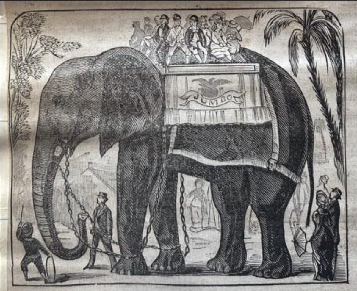 Advertisement for Barnum's Circus -August 22, 1822