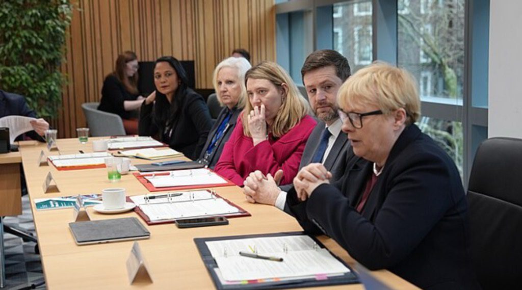 Description: Local Government Source: Wiki Commons