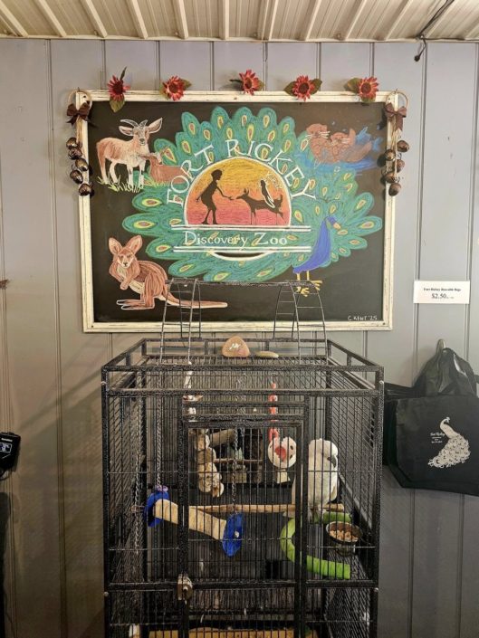 Carin Kent, The Caring Creator Carin Kent, The Caring Creator