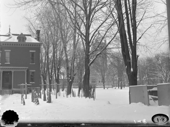 View of bare trees in an unidentified city in winter. The date is unknown, but probably ca. 1900-1920. View of bare trees in an unidentified city in winter. The date is unknown, but probably ca. 1900-1920.