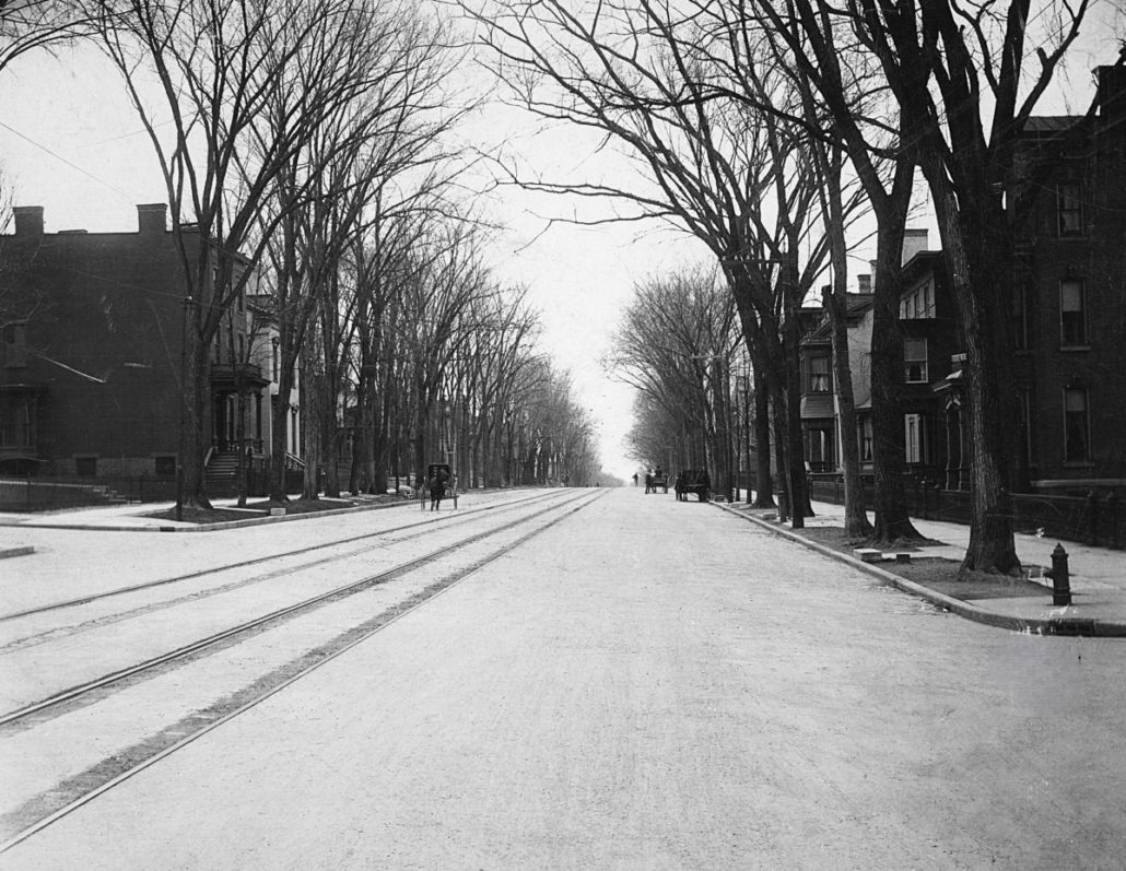 Tree-lined Genesee Street c. 1900. Photo courtesy of the Oneida County History Center.