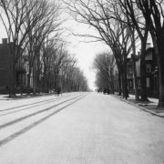 Tree-lined Genesee Street c. 1900. Photo courtesy of the Oneida County History Center.