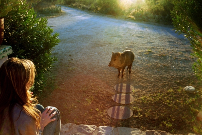 Heather and Javelina, Arizona © 1997 Paul McCartney under exclusive licence to MPL Archive LLP. Photographer: Linda McCartney
