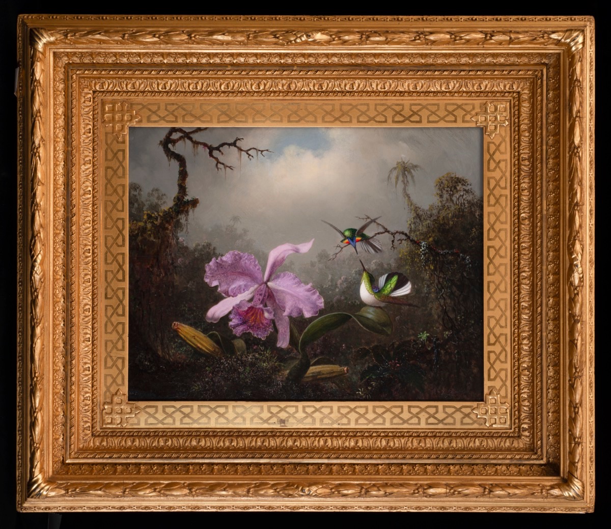 Cattleya Orchid with Two Brazilian Hummingbirds, 1871, Martin Johnson Heade, oil on panel, Fenimore Art Museum, Cooperstown, New York, Gift of the Eugene V. and Clare E. Thaw Charitable Trust. N0007.2024(01). Photograph by Richard Walker.